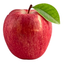 دمنوش گیاهی سیب